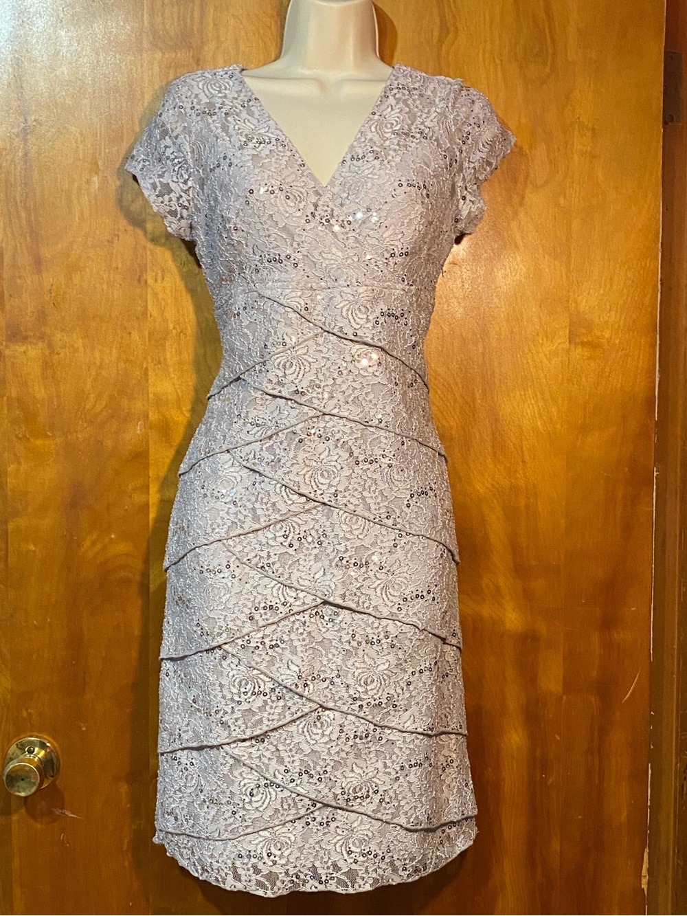NWOT SCARLETT occasion dress,silver lace,sequins,draped design, 6